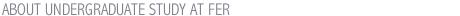 ABOUT UNDERGRADUATE STUDY AT FER