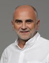 Prof. dr. sc. Damir Seršić